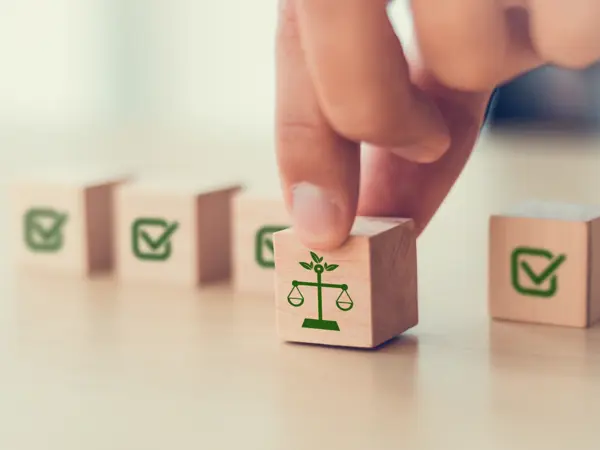 Time is not on your side - our recent sustainability findings