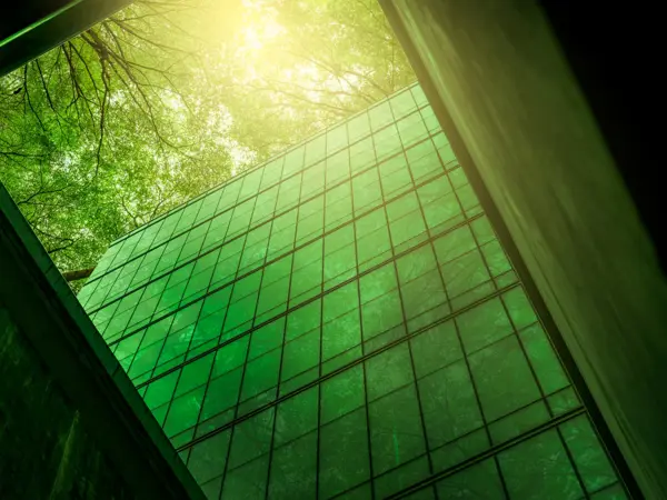 Sustainability Panel in conjunction with Good Business