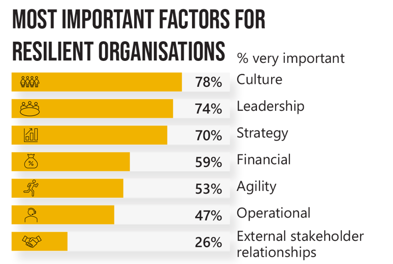 Resilience Factors 2