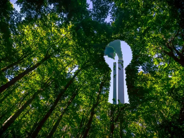 Greenwashing. Time for an advertising rethink.